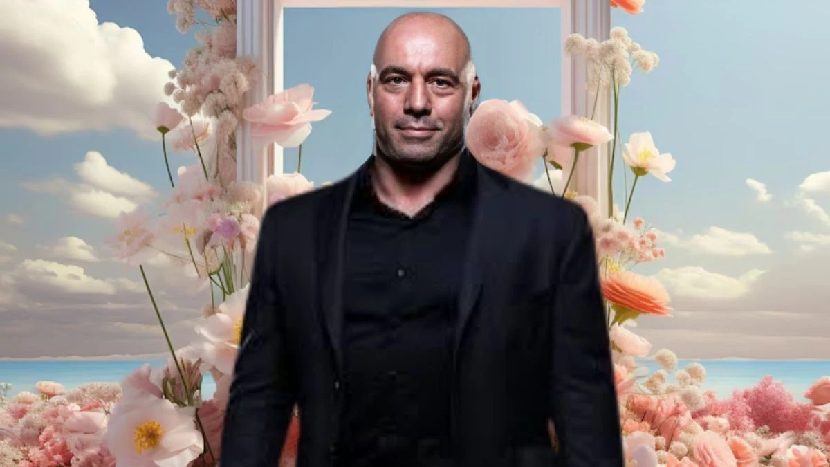 Joe Rogan Car Accident, What Happened to Joe Rogan in an Accident? Is Joe Rogan Dead?