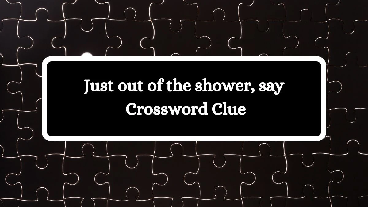 Daily Themed Just out of the shower, say Crossword Clue Puzzle Answer from July 29, 2024