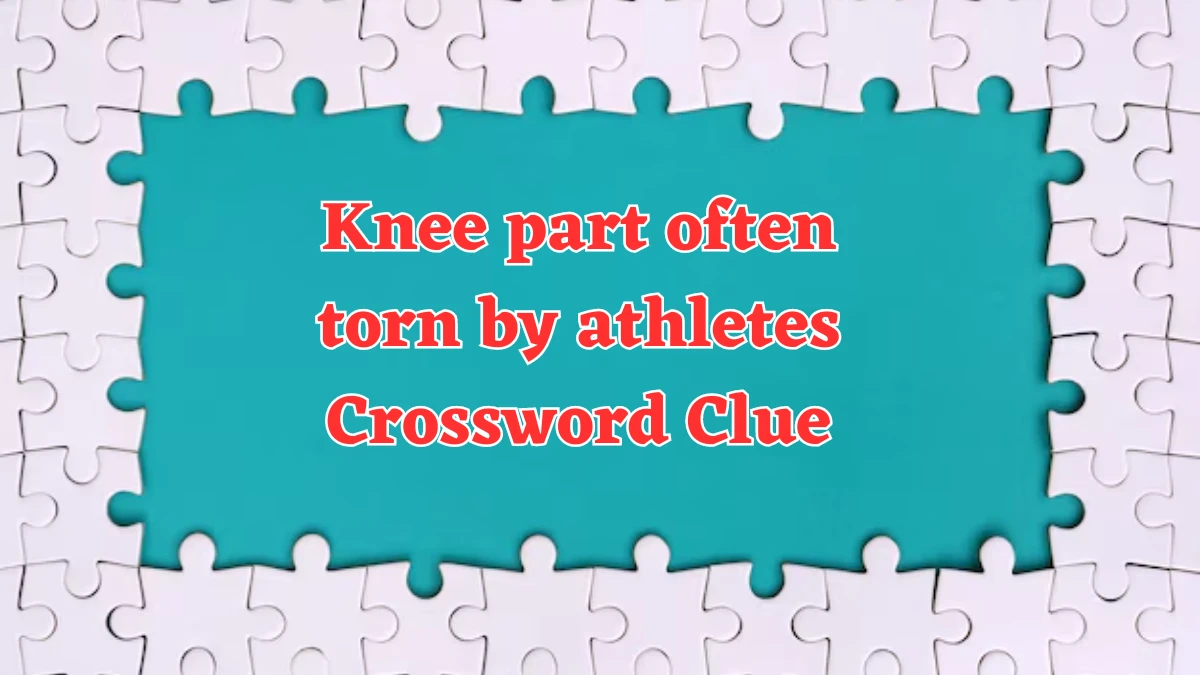 USA Today Knee part often torn by athletes Crossword Clue Puzzle Answer from July 31, 2024