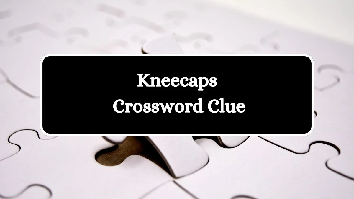 Daily Commuter Kneecaps Crossword Clue 8 Letters Puzzle Answer from August 01, 2024