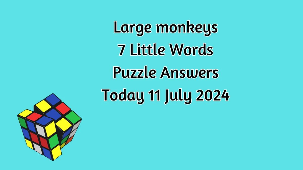 Large monkeys 7 Little Words Puzzle Answer from July 11, 2024