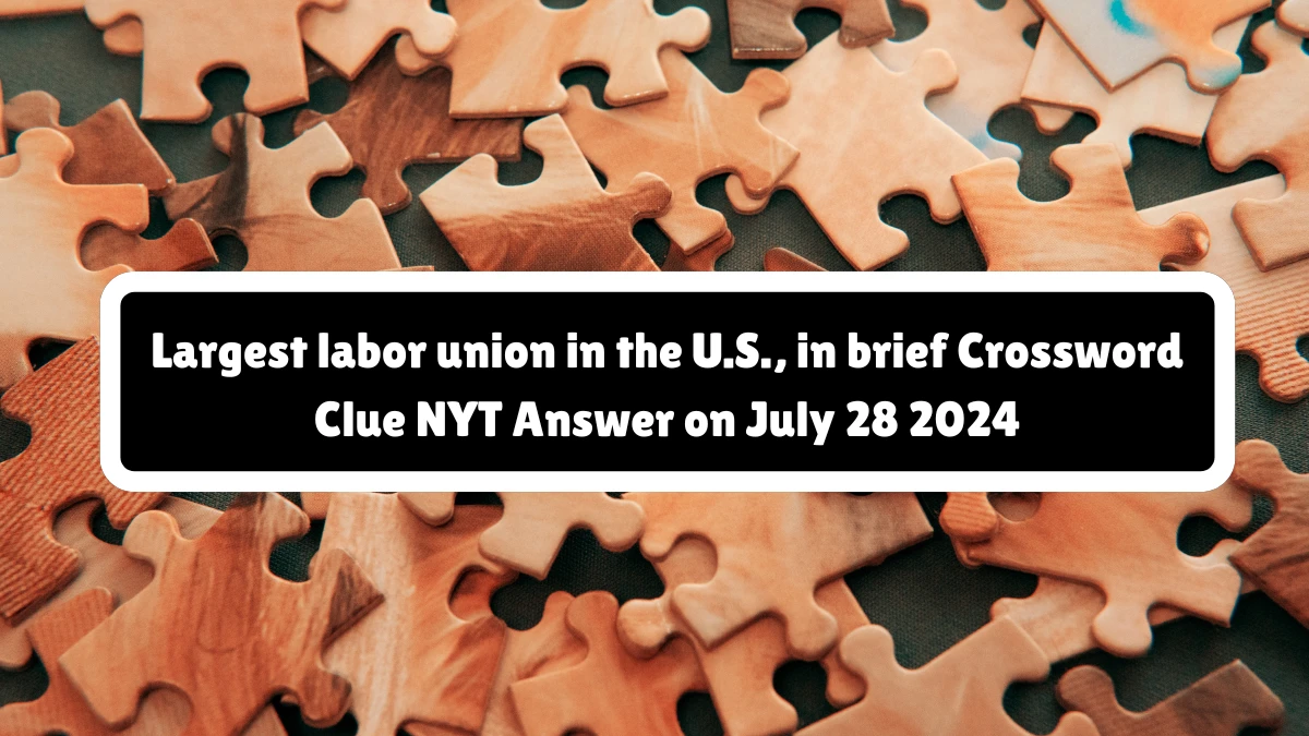 NYT Largest labor union in the U.S., in brief (3) Crossword Clue Puzzle Answer from July 28, 2024