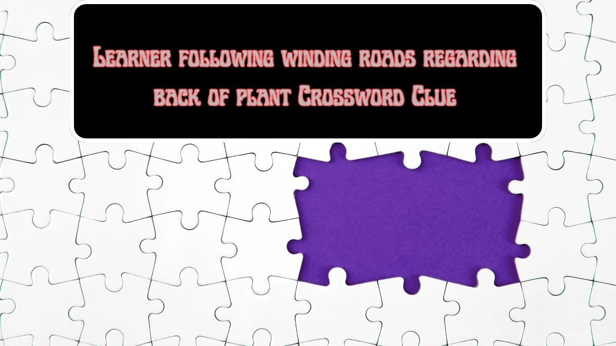 Learner following winding roads regarding back of plant? Crossword Clue Puzzle Answer from July 22, 2024