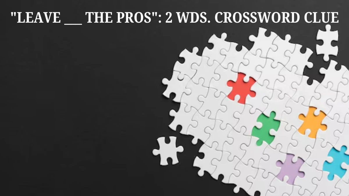 Leave ___ the pros: 2 wds. Daily Themed Crossword Clue Puzzle Answer from July 17, 2024