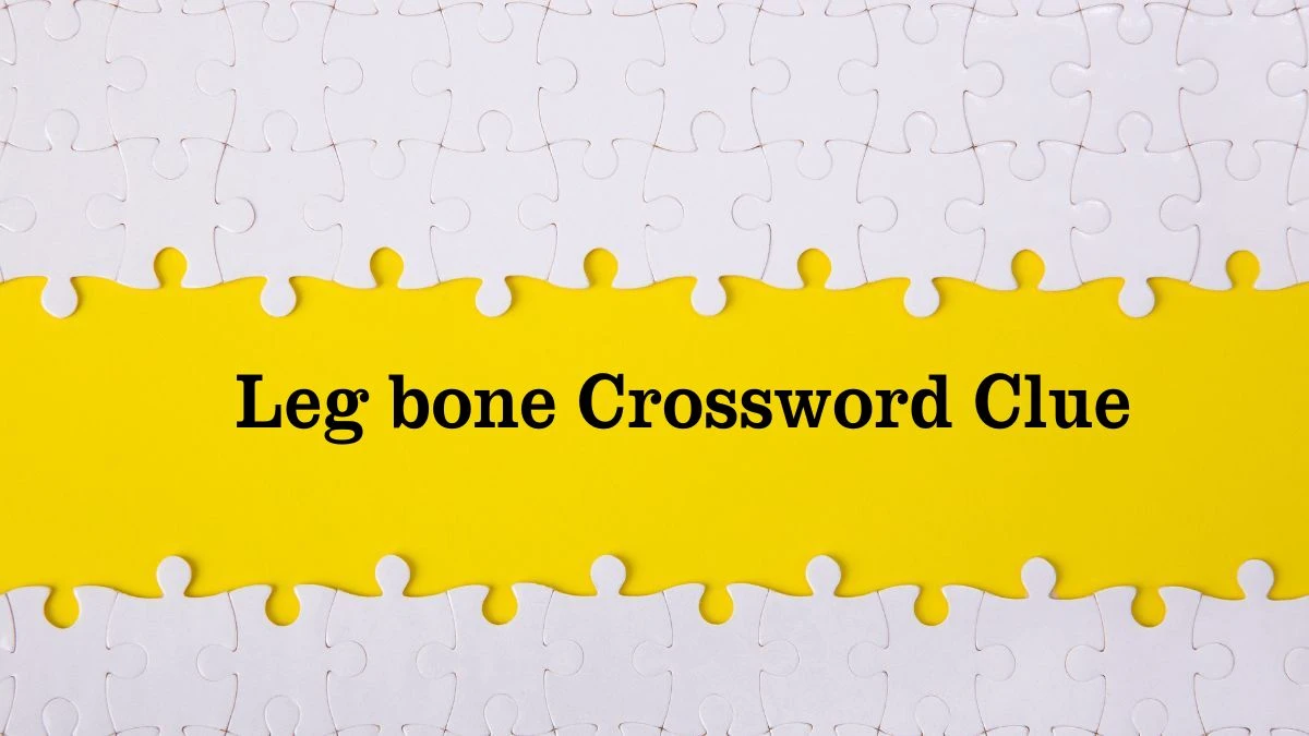 Leg bone Irish Daily Mail Quick Crossword Clue Puzzle Answer from 2 September, 2024