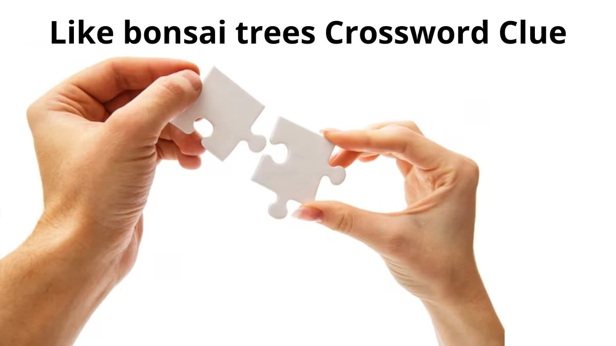 Like bonsai trees NYT Crossword Clue Puzzle Answer from July 11, 2024