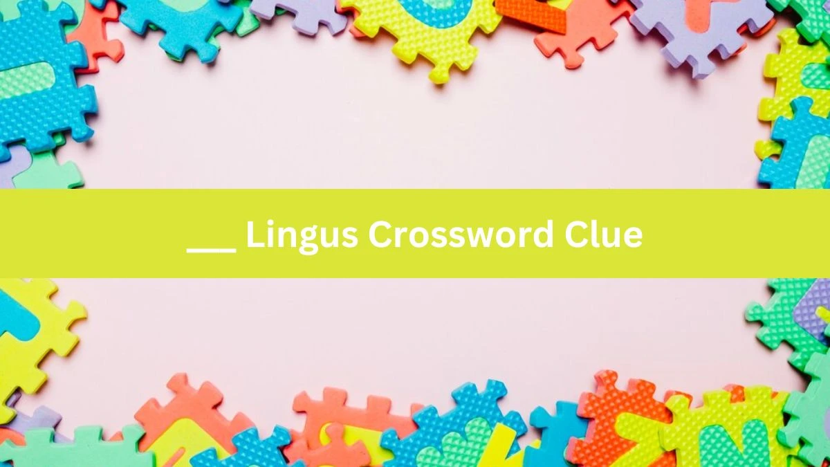 ___ Lingus Crossword Clue Answers on July 29, 2024