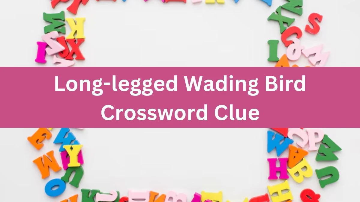 Long-legged Wading Bird Crossword Clue Puzzle Answer from July 11, 2024