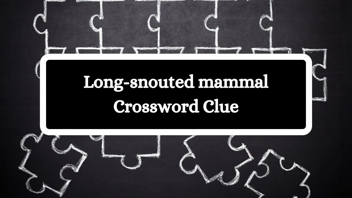 USA Today Long-snouted mammal Crossword Clue Puzzle Answer from July 08, 2024