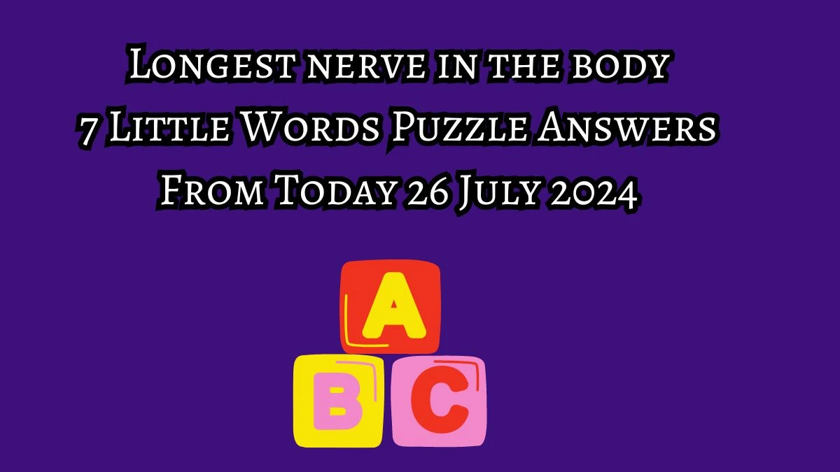 Longest nerve in the body 7 Little Words Puzzle Answer from July 26, 2024