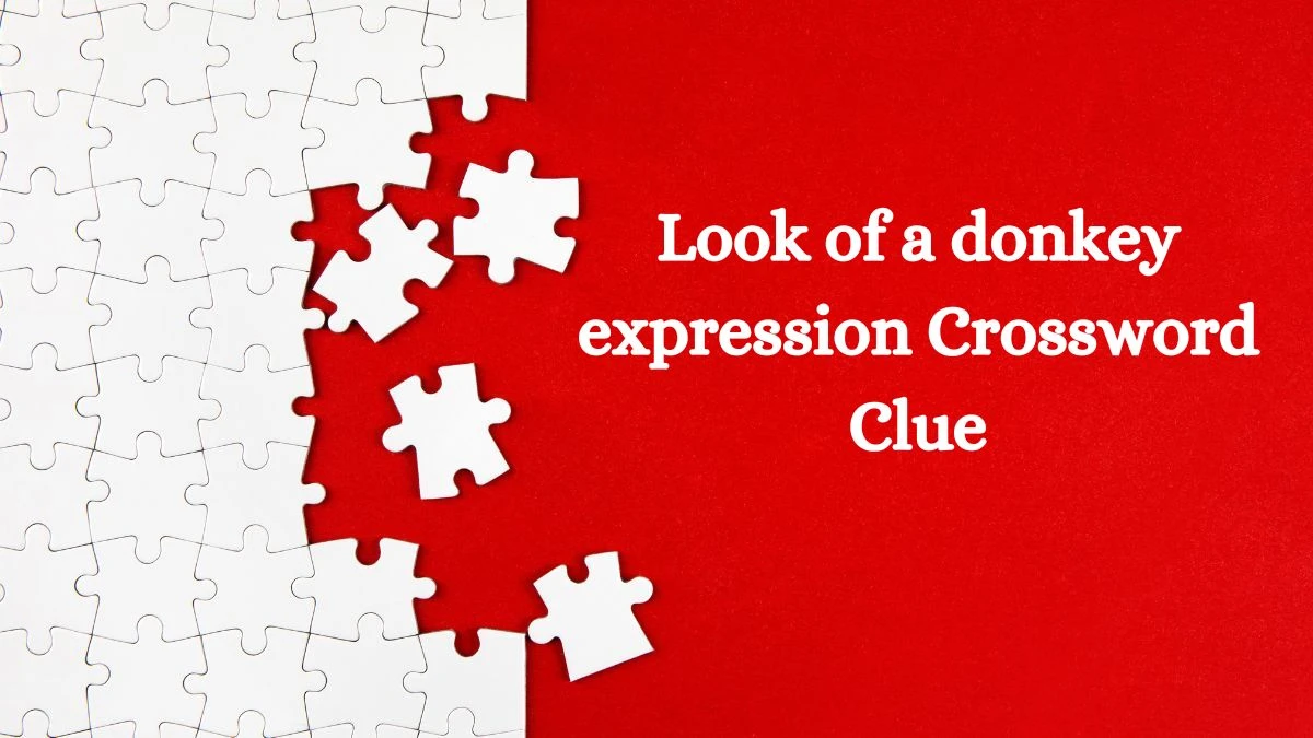 Look of a donkey expression Crossword Clue Puzzle Answer from July 27, 2024