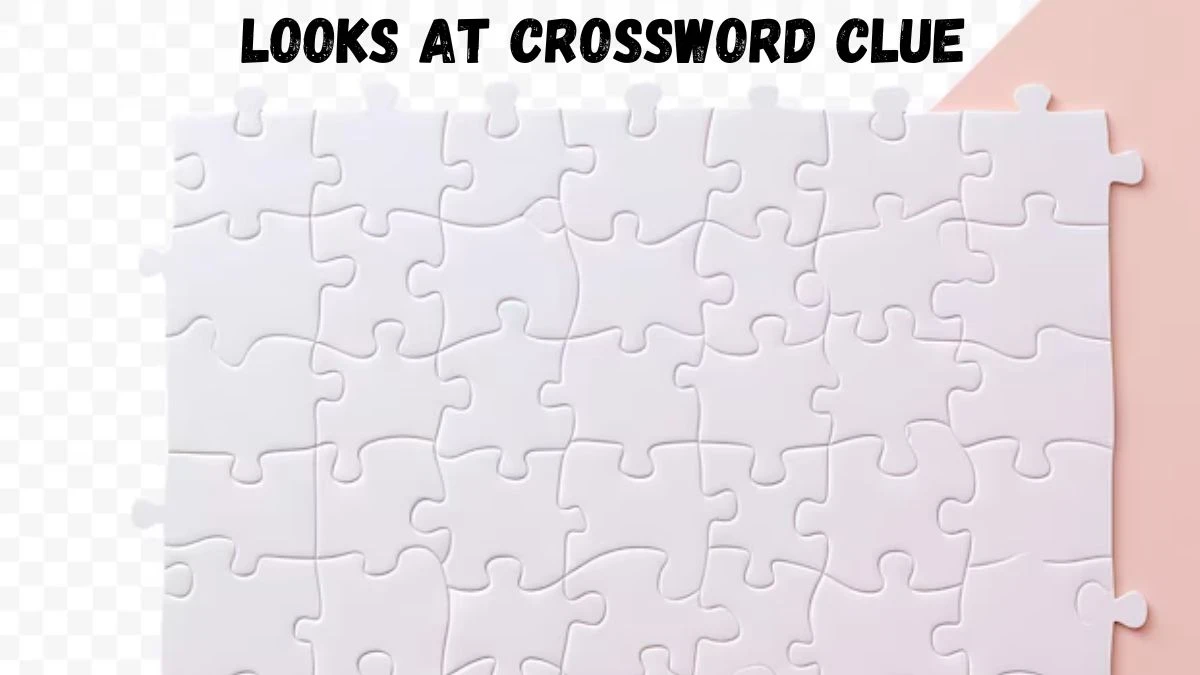 Looks at Daily Commuter Crossword Clue Puzzle Answer from July 01, 2024