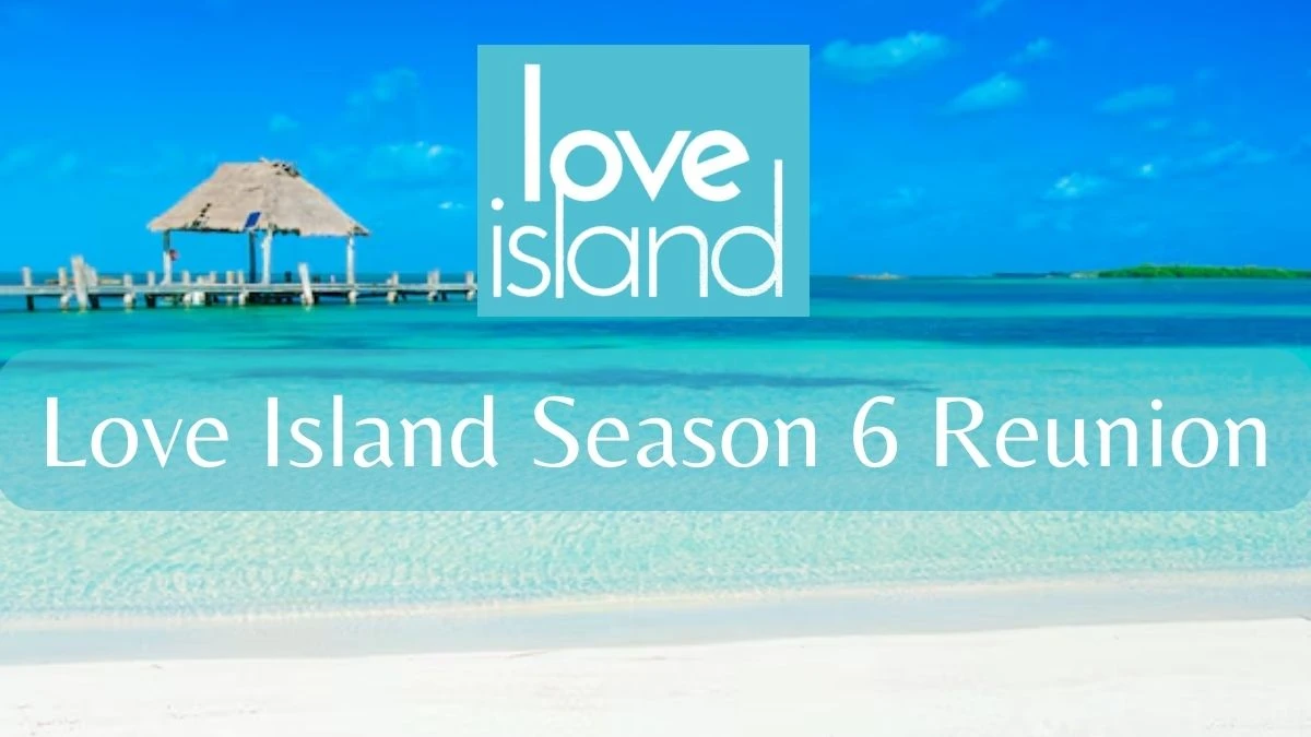 Love Island Season 6 Reunion, Will There Be A Love Island Season 6 Reunion?