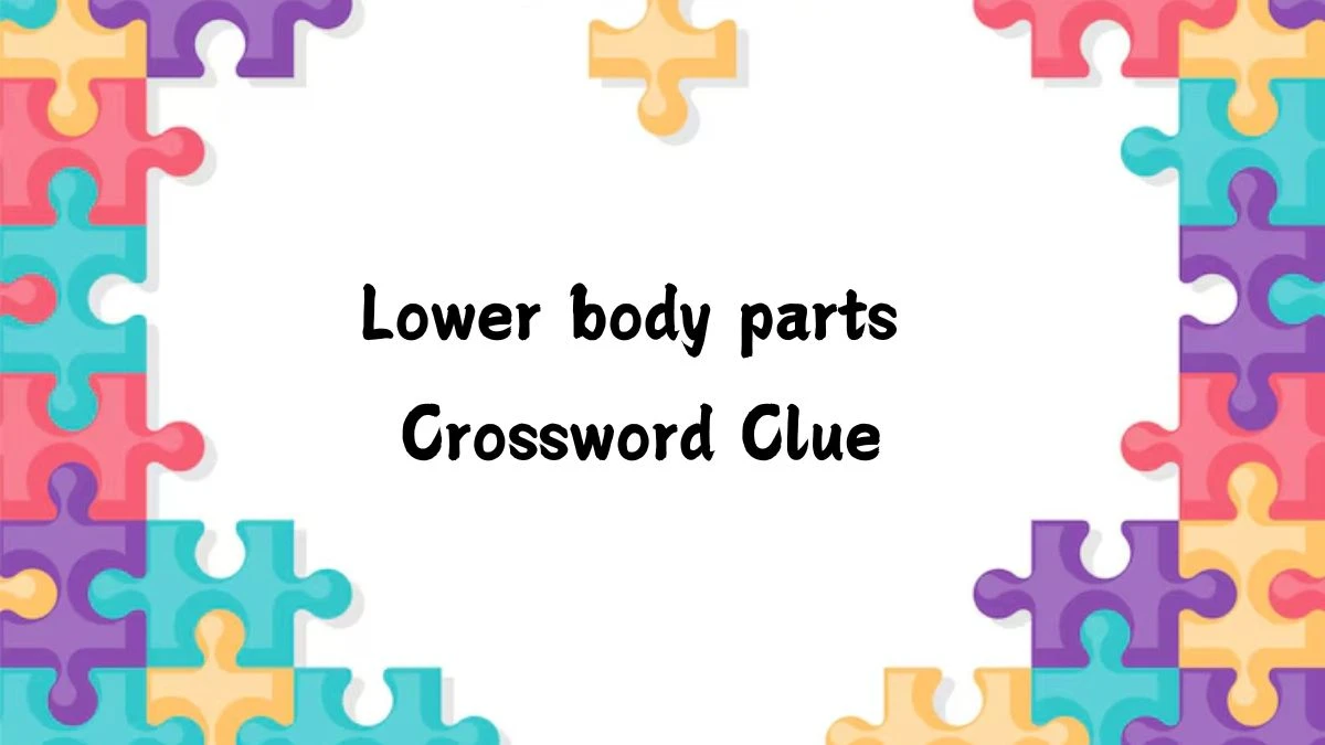 Irish Daily Mail Quick Lower body parts Crossword Clue Puzzle Answer from July 18, 2024