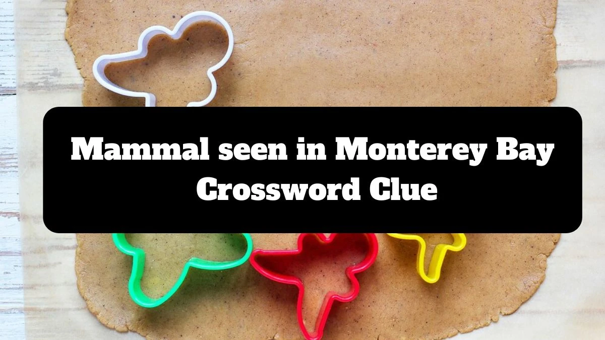 Mammal seen in Monterey Bay NYT Crossword Clue Puzzle Answer from July 14, 2024