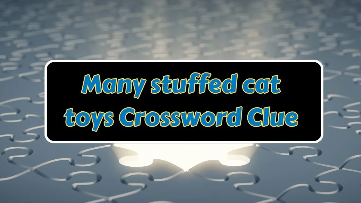 Many stuffed cat toys NYT Crossword Clue Answer on July 10, 2024