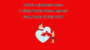 Mat in a japanese house 7 Little Words Puzzle Answer from July 20, 2024