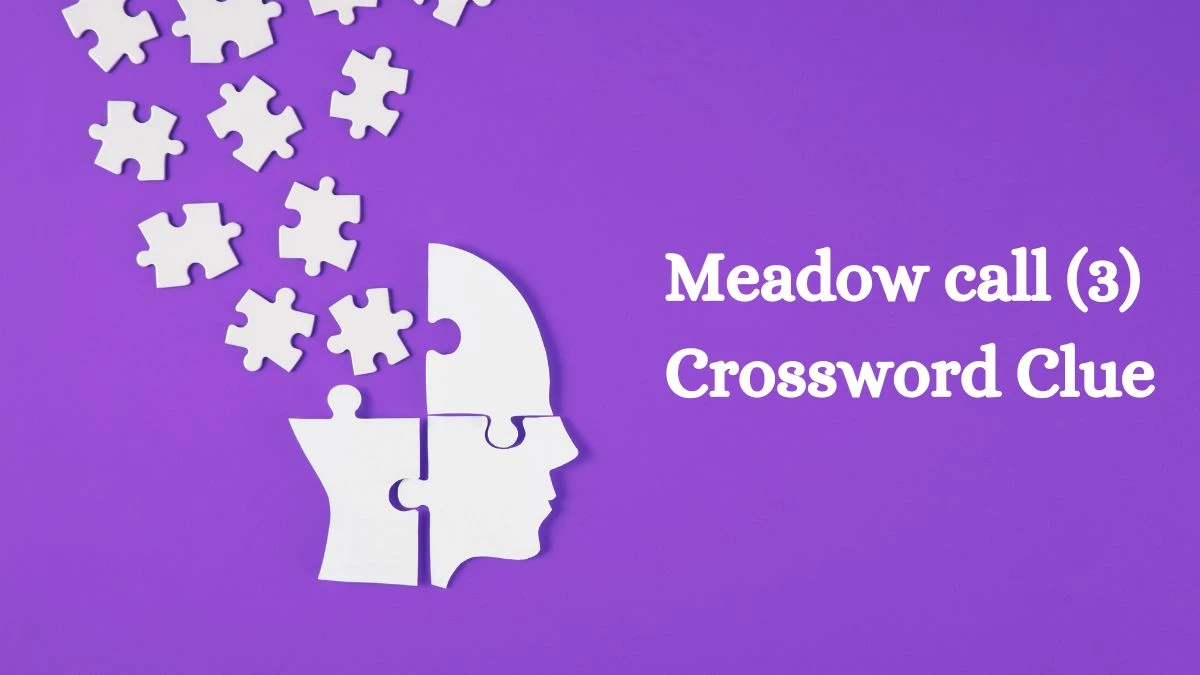 Meadow call (3) NYT Crossword Clue Answer on July 25, 2024