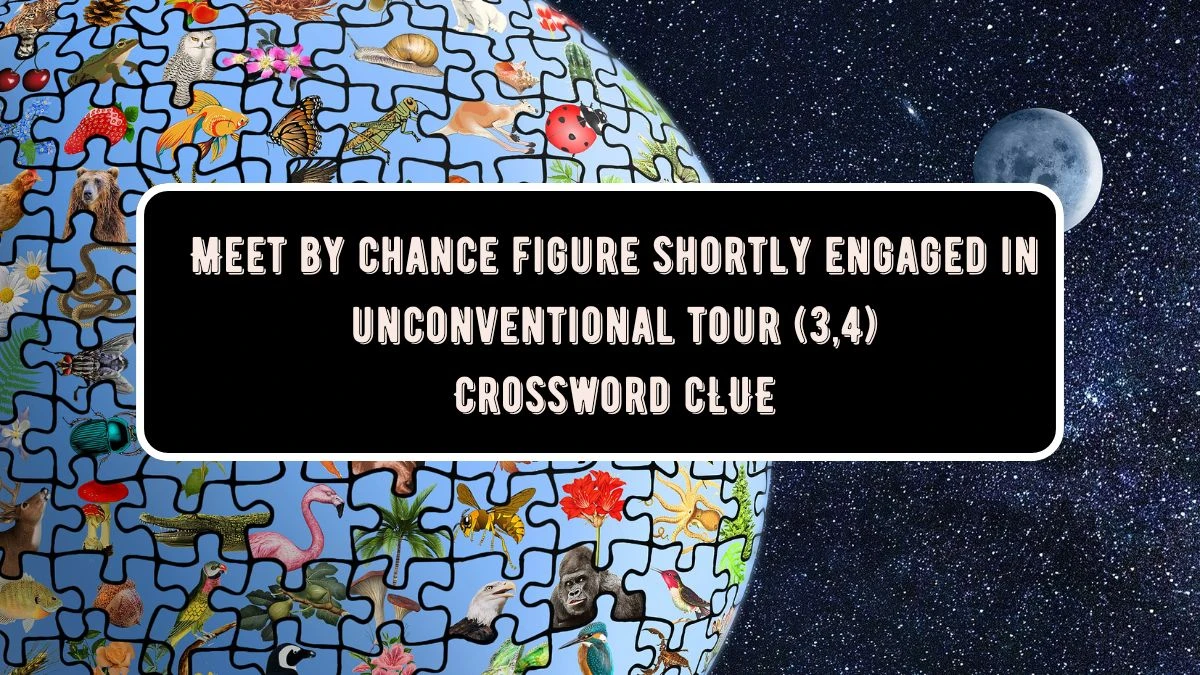 Meet by chance figure shortly engaged in unconventional tour (3,4) Crossword Clue Puzzle Answer from July 25, 2024