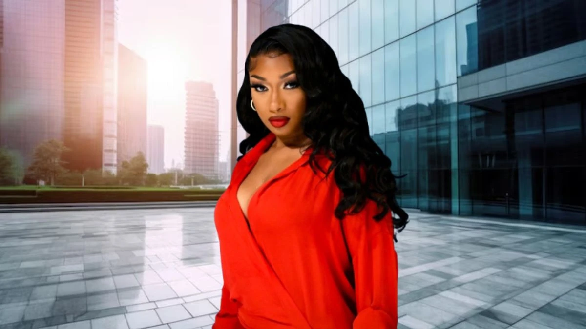 Megan Thee Stallion Net Worth in 2024 How Rich is He Now?