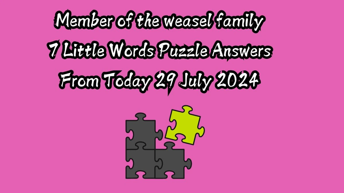 Member of the weasel family 7 Little Words Puzzle Answer from July 29, 2024