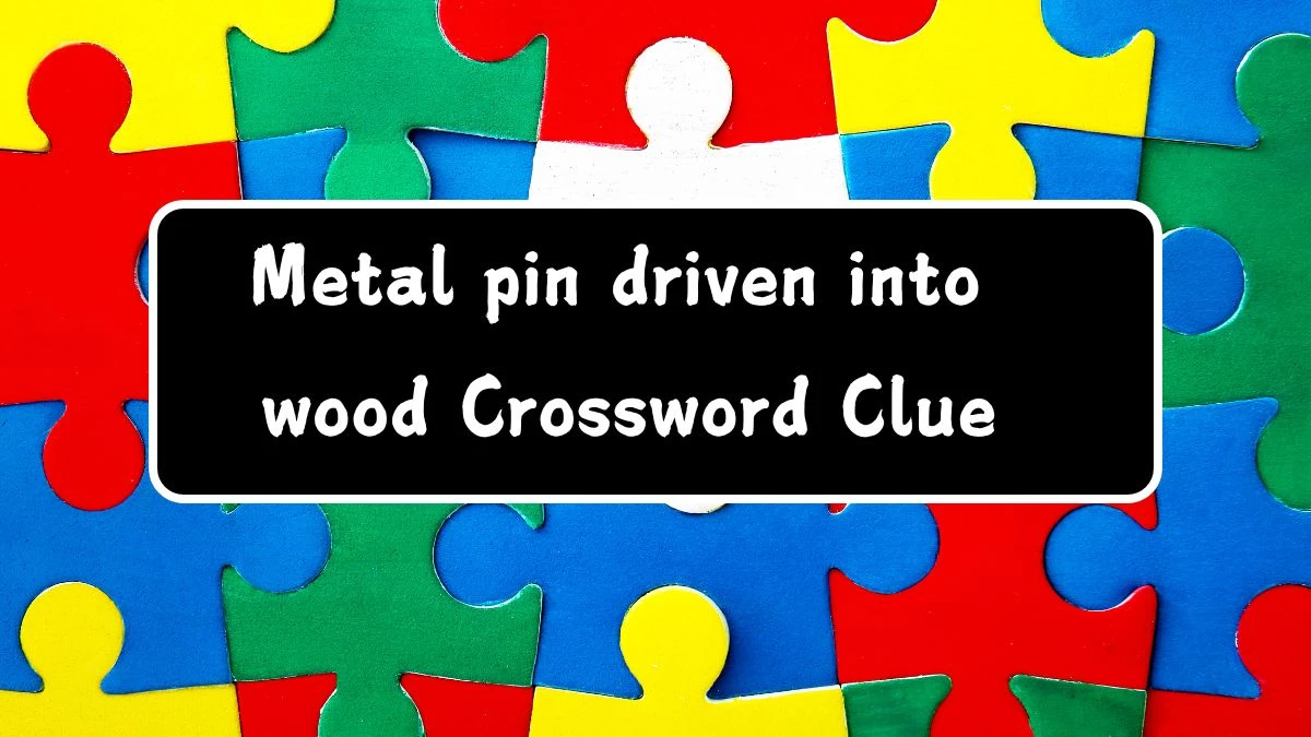 Metal pin driven into wood Puzzle Page Answer from July 16 2024 News Metal pin driven into wood Puzzle Page Answer from July 16 2024 News