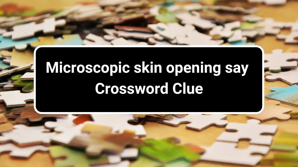 Microscopic skin opening say Crossword Clue Daily Themed Puzzle Answer from July 01, 2024