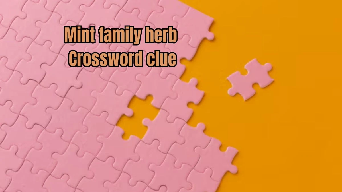 LA Times Mint family herb Crossword Clue Puzzle Answer from July 17, 2024