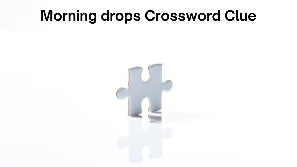 Morning drops Daily Themed Crossword Clue Puzzle Answer from July 19, 2024