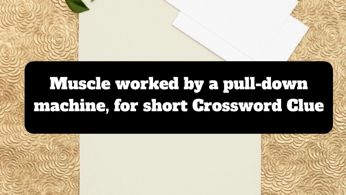 Muscle worked by a pull-down machine, for short NYT Crossword Clue Puzzle Answer from July 14, 2024