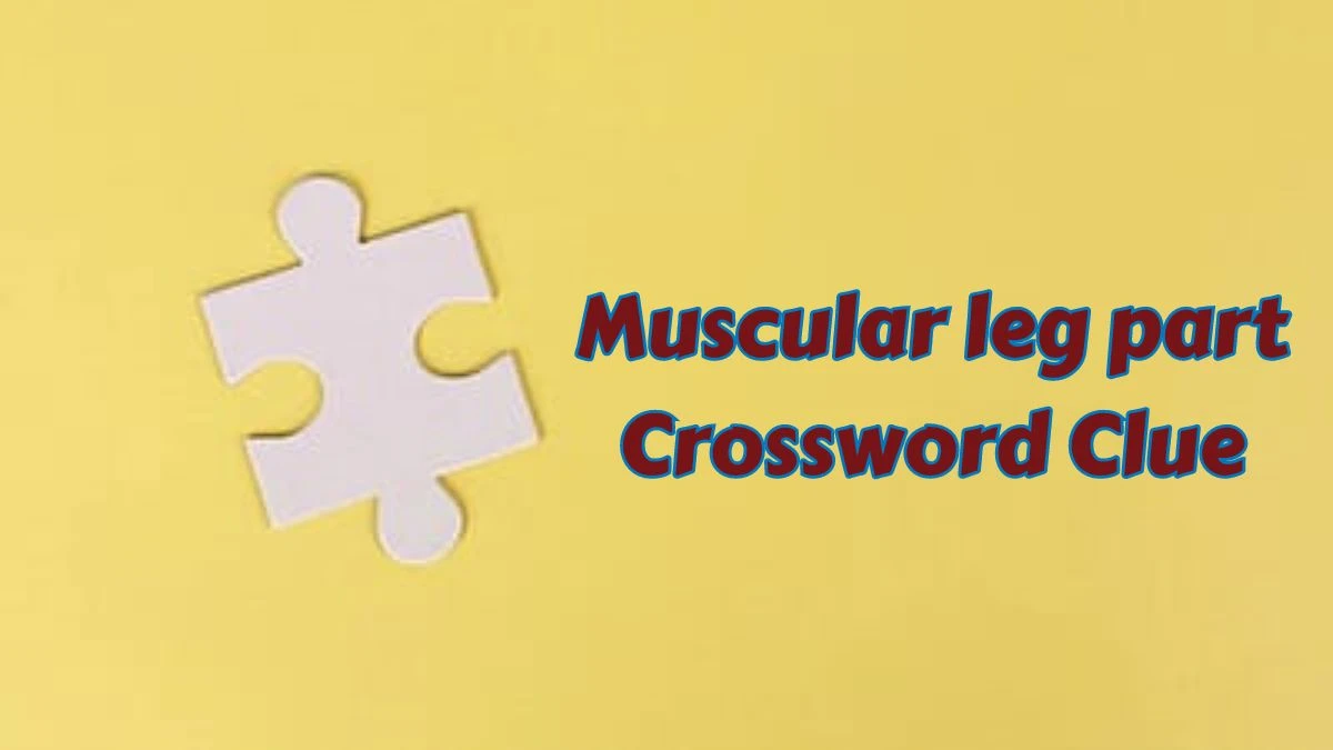 Muscular leg part Puzzle Page Crossword Clue Answer from July 07, 2024