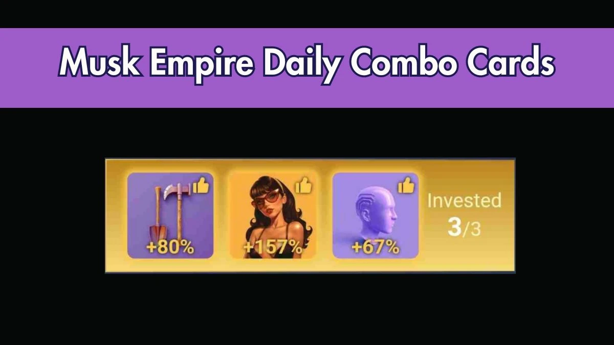 Musk Empire Daily Combo Cards for Today 24 July 2024