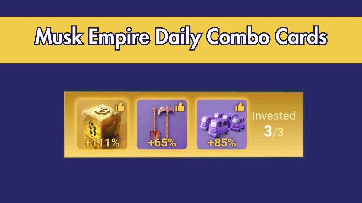 Musk Empire Daily Combo Cards for Today 25 July 2024