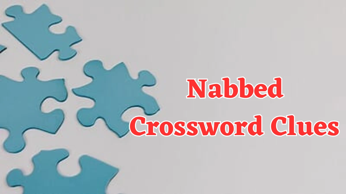 Nabbed Daily Commuter Crossword Clue Answers on July 22, 2024