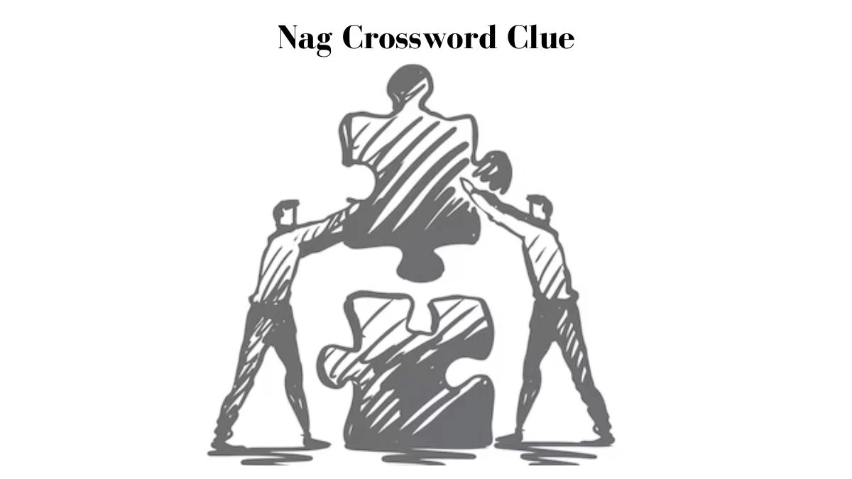 Nag LA Times Crossword Clue Puzzle Answer from July 13, 2024