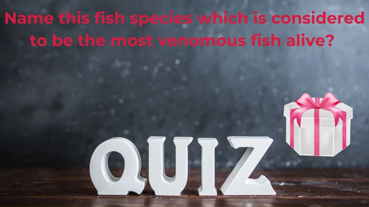 Name this fish species which is considered to be the most venomous fish alive? Amazon Quiz Answer Today July 01, 2024