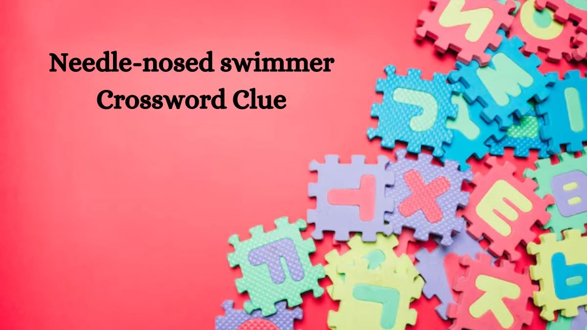 Needle-nosed swimmer Daily Themed Crossword Clue Answers on July 29, 2024