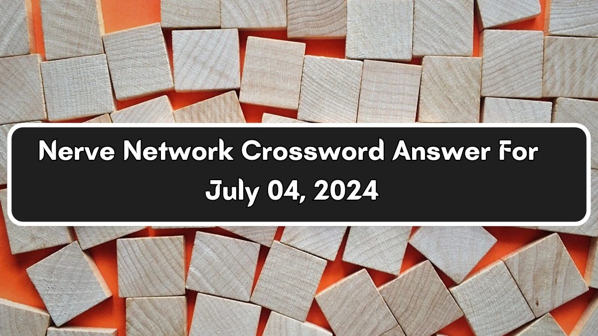 Nerve Network Crossword Clue Puzzle Answer from July 04, 2024