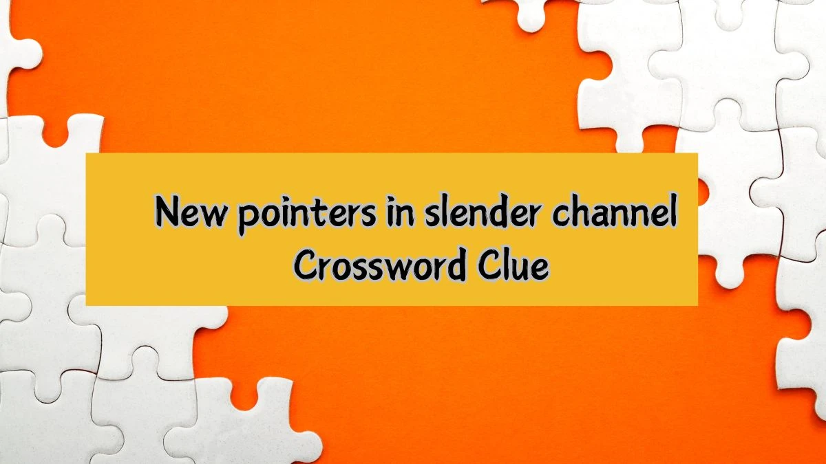 New pointers in slender channel Crossword Clue Puzzle Answer from August 01, 2024