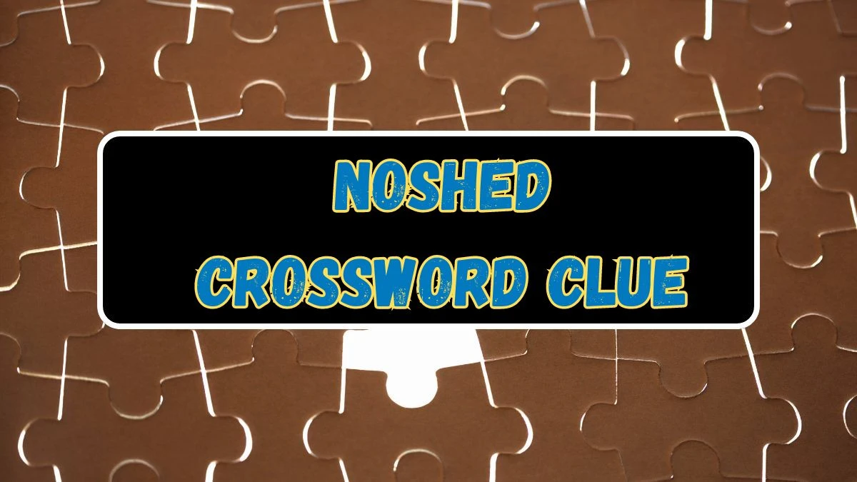 Noshed NYT Crossword Clue Answer on July 16, 2024