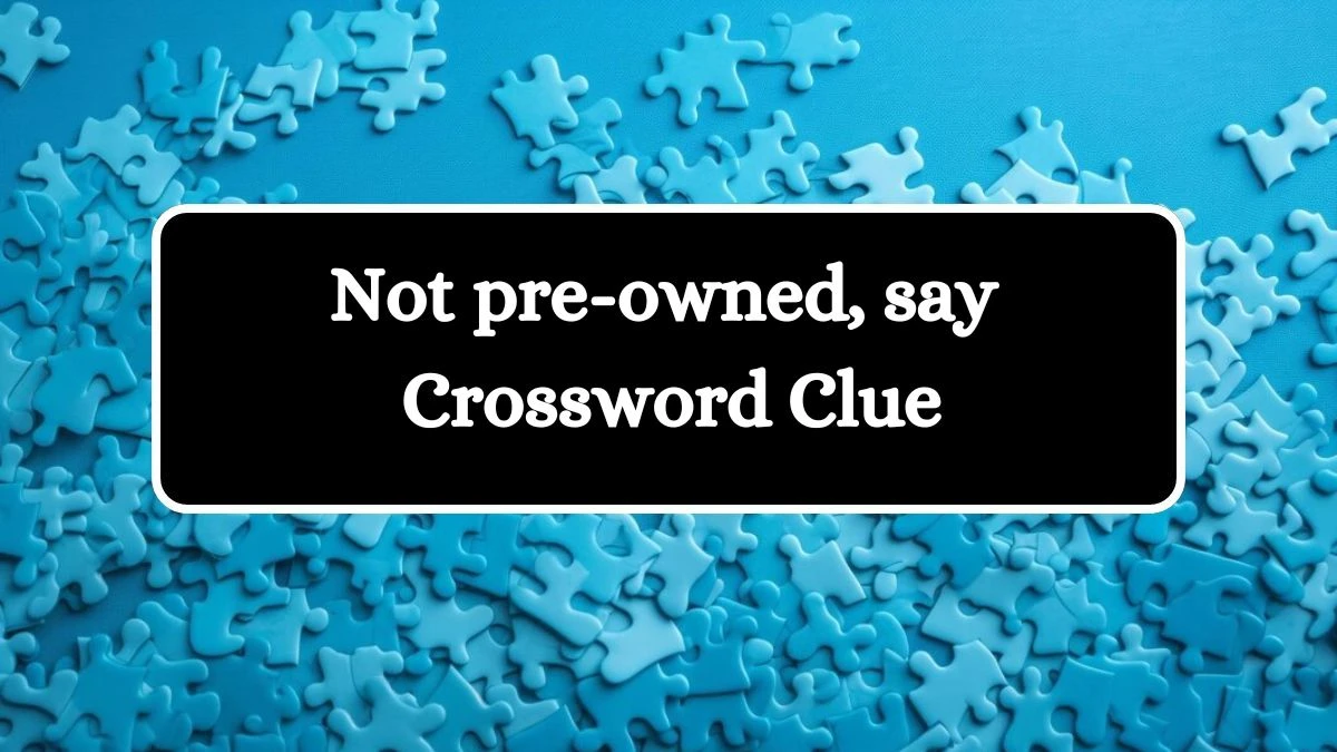 Daily Themed Not pre-owned, say Crossword Clue Puzzle Answer from July 22, 2024