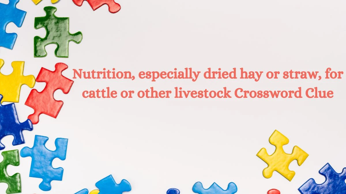 Nutrition, especially dried hay or straw, for cattle or other livestock Crossword Clue Answers on July 15, 2024