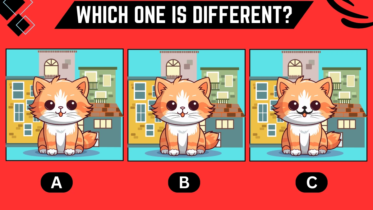 Observation Brain Challenge: Only People with 4k Vision Can Spot the Different Cat in 8 Secs