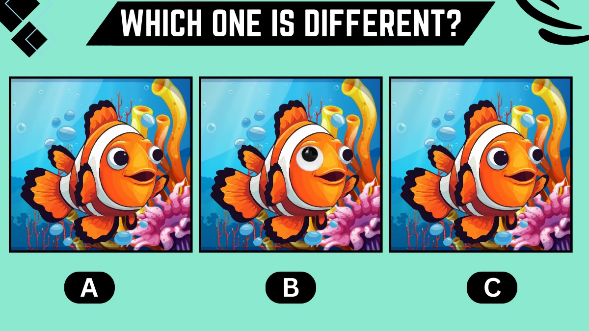 Observation Brain Challenge: Only People with Sharp Eyes Can Spot the Different Clown Fish in 8 Secs