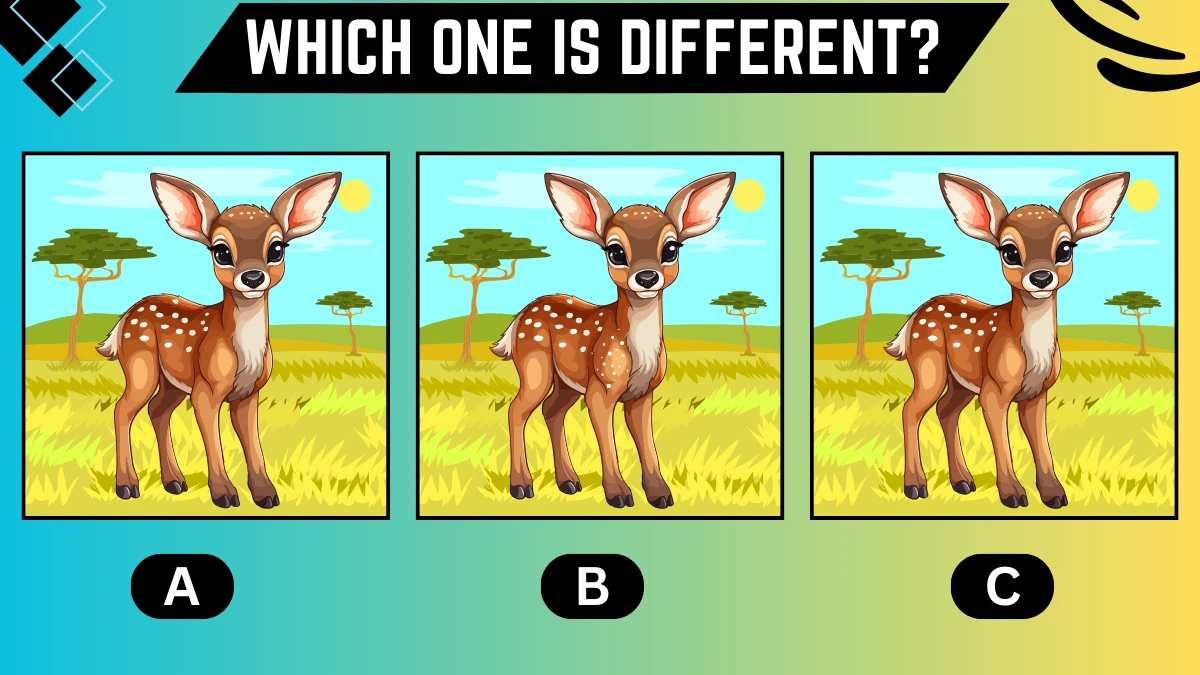 Observation Brain Challenge: Only Sharp Eyes Can Spot the Different Deer in 6 Secs