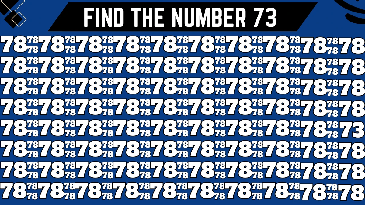 Observation Find it Out: Only 8k Vision People Can Spot the Number 73 among 78 in 8 Secs