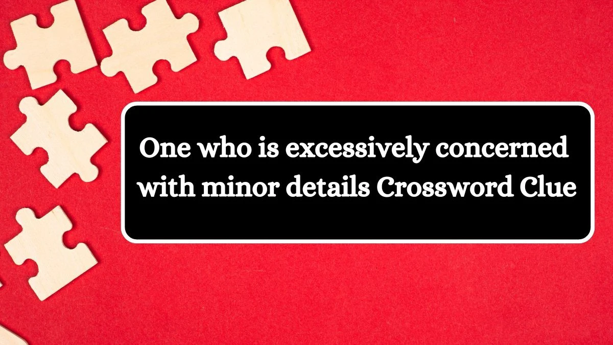 One who is excessively concerned with minor details Crossword Clue Puzzle Answer from July 29, 2024