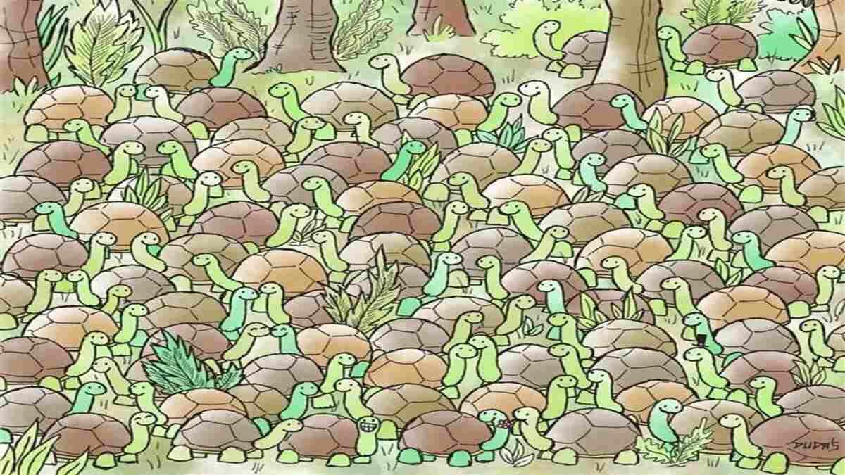 Optical Illusion Eye Test: Only Sharp eyes Can Spot the Hidden Snake among these tortoises in 8 Secs