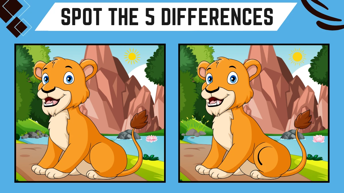 Optical Illusion Spot the Difference Picture Puzzle Game: Only Eagle Eyes Can Spot the 5 Differences in this Lion Images within 12 Secs