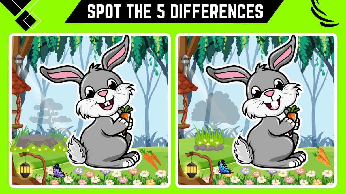 Optical Illusion Spot the Difference Picture Puzzle Game: Only People with 50/50 Vision Can Spot the 5 Differences in this Rabbit Image in 14 Secs